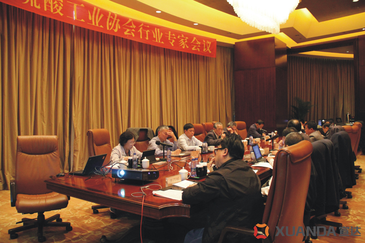 完美体育官网首页入口承办中国硫酸工业协会行业专家会议