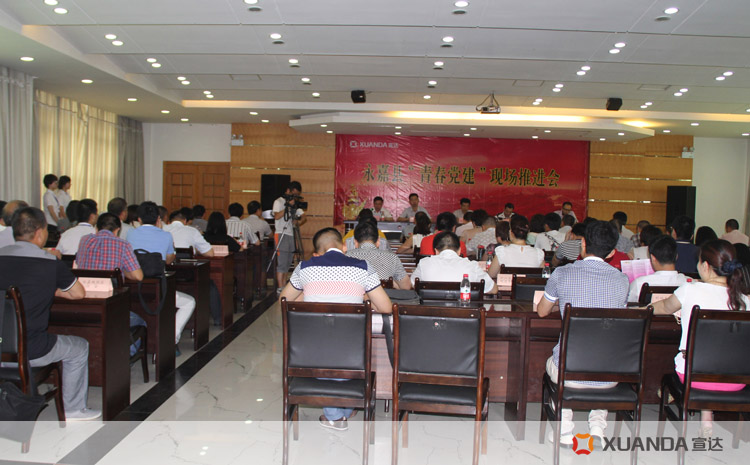 中国梦.青春行 永嘉县“青春党建”推进会在完美online(中国)开幕